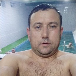 , 40, 