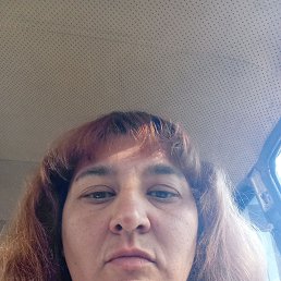 , 43, 