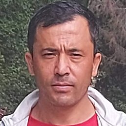 , -, 41 