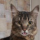 ���� �������� �����, �����, 54 ���� - ��������� 1 ������� 2024