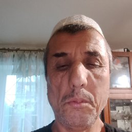 , 58, 