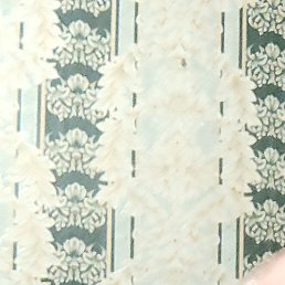 �����, ������, 50 ���