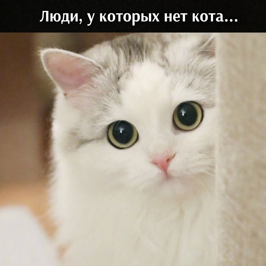       - 23  2025  16:22