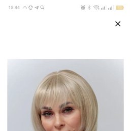 ���� �����, ������, 49 ��� - ��������� 31 ������� 2025