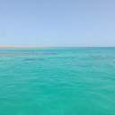 ���� �������, ������ ��������, 49 ��� - ��������� 14 ������� 2025