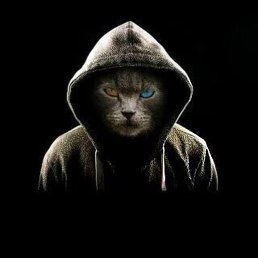 Baton, �����������, 33 ����