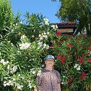 ���� �������, ������, 73 ���� - ��������� 27 ���� 2026 � ������ ���������� ������