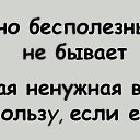 ���� ����, ������, 59 ��� - ��������� 13 ��� 2026 � ������ ������ ��������