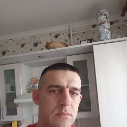 , 37, 