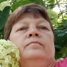 ��������, ������, 56 ���