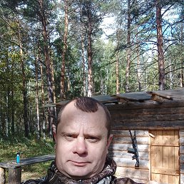 , 41, 