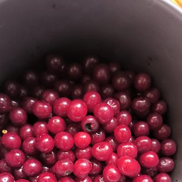  , , 61  -  29  2024