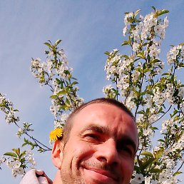, 36, 
