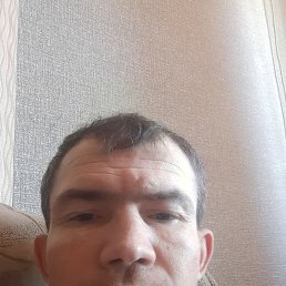 , 41, 