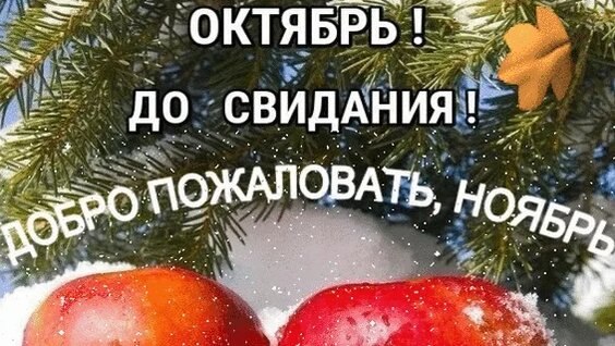   ,    . - 31  2025  13:26