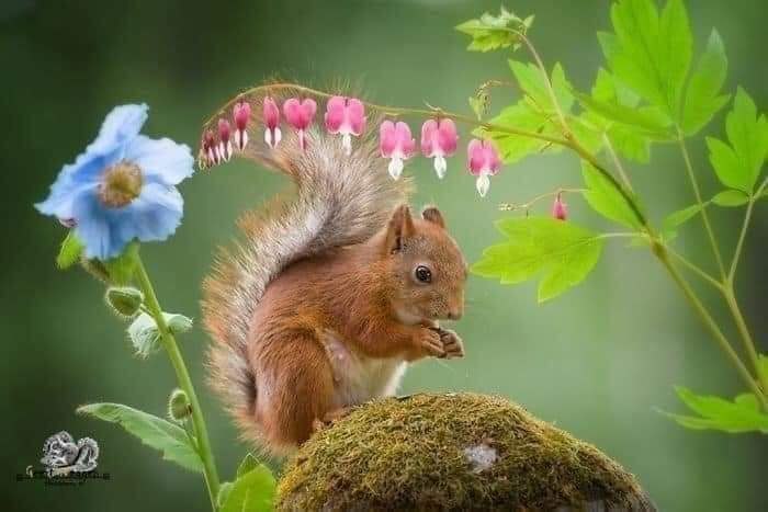 :) ,      (Geert Weggen)    .  ... - 8