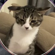 , 21 , -