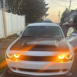 David, �������, 46 ���