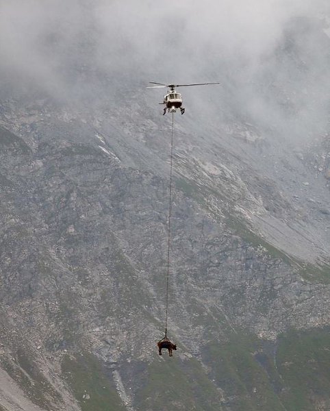 �a� c�aca�� �pa���po�a���x �opo�o� � ��e��ap�� - 4