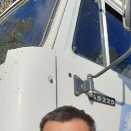 , 55, 