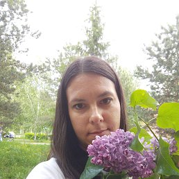 , 37, 