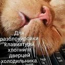 ���� ����, ������, 44 ���� - ��������� 25 ���� 2026