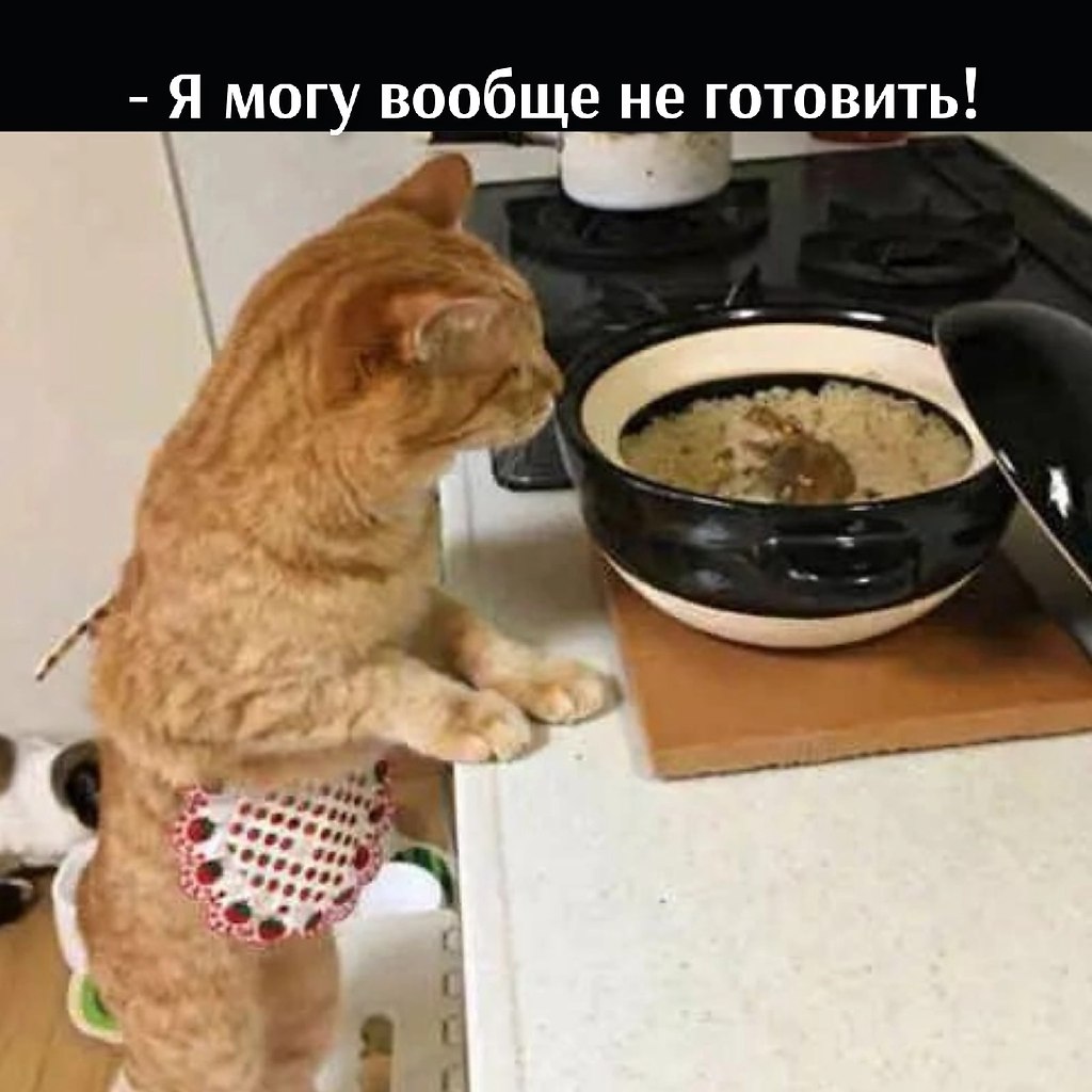       - 8  2025  16:46 - 5