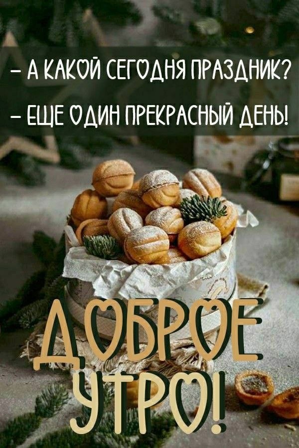  - 12  2023  08:49