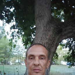 , 42, 