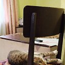 ���� ������. ���� � ���������, ��������, 61 ��� - ��������� 30 ������ 2025 � ������ ���� ����������