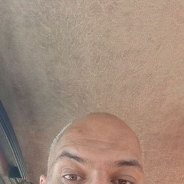 , 41, 