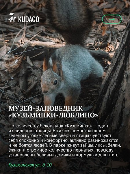 ����� ������, ��� ����� �� ������ ������������ �������� ��������� ���������, �� � ��������� ��, ���� ... - 6