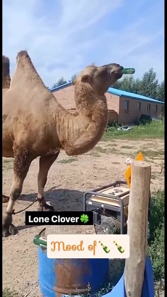 ���������� �� ����������� ��������� - 2