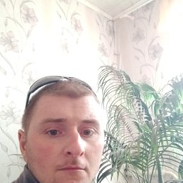 , 33, 