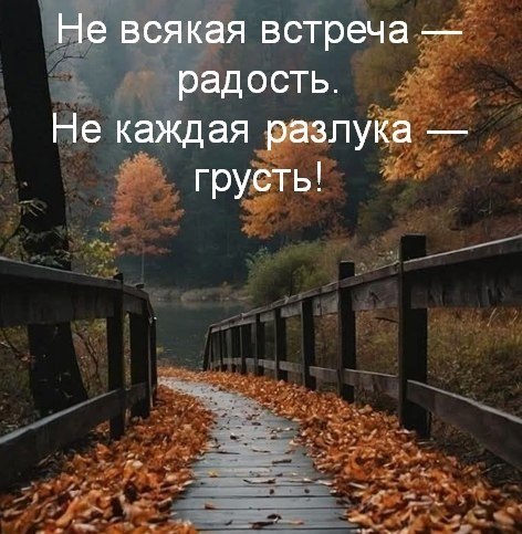 ������������ �� �������... - 23 ������� 2025 � 23:02