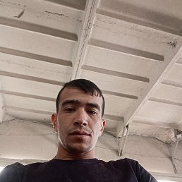, 26, 