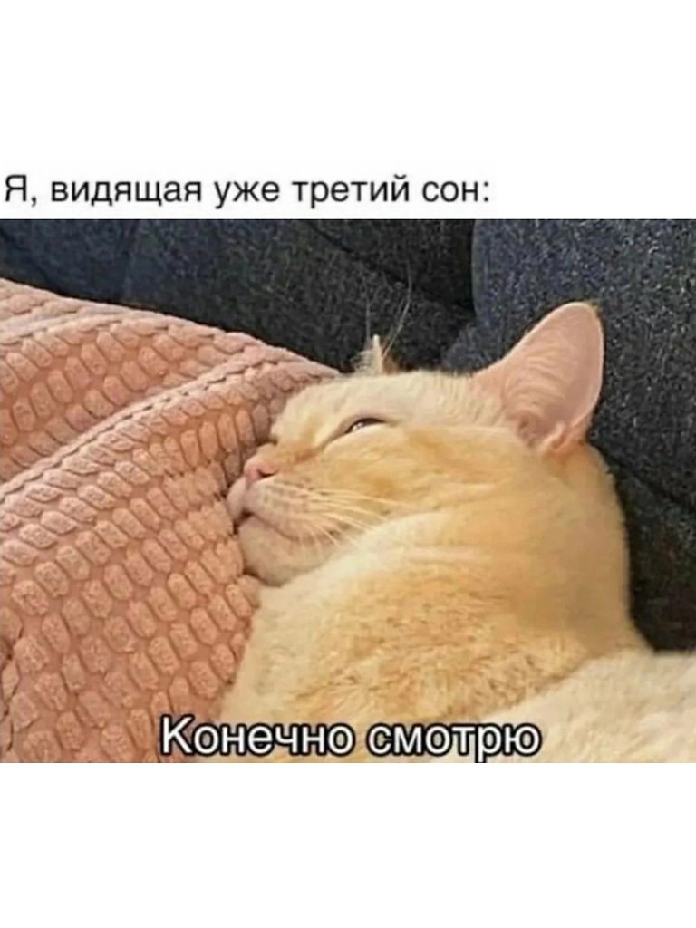 . - 10  2025  17:55 - 2