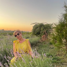 ���� �����, ������, 56 ��� - ��������� 26 ������� 2025