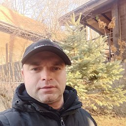 ���� �����, �����������, 41 ��� - ��������� 23 ������� 2025