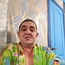 , 43, 