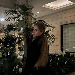 ���� ��������, ���������, 24 ���� - ��������� 15 ������ 2026