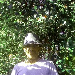 ���� ����, ����, 68 ��� - ��������� 30 ����� 2026