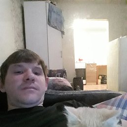 , 33, 