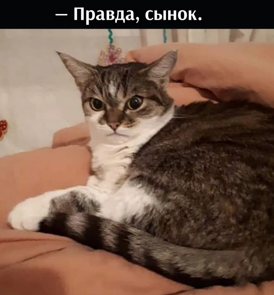       - 2  2025  10:58 - 2