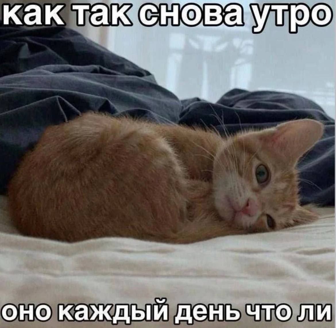  - 7  2025  11:36