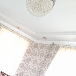 , 29, 