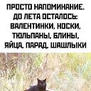 ���� �������, ������ - ��������� 15 ������� 2025 � ������ ������ ��������