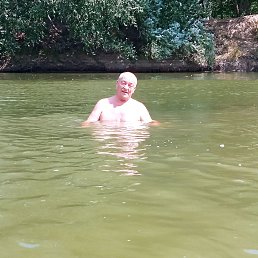 , 62, 