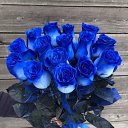 ���� �����, ������ - ��������� 9 ������� 2025 � ������ ������ ��������