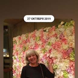 �����, ���������, 65 ���